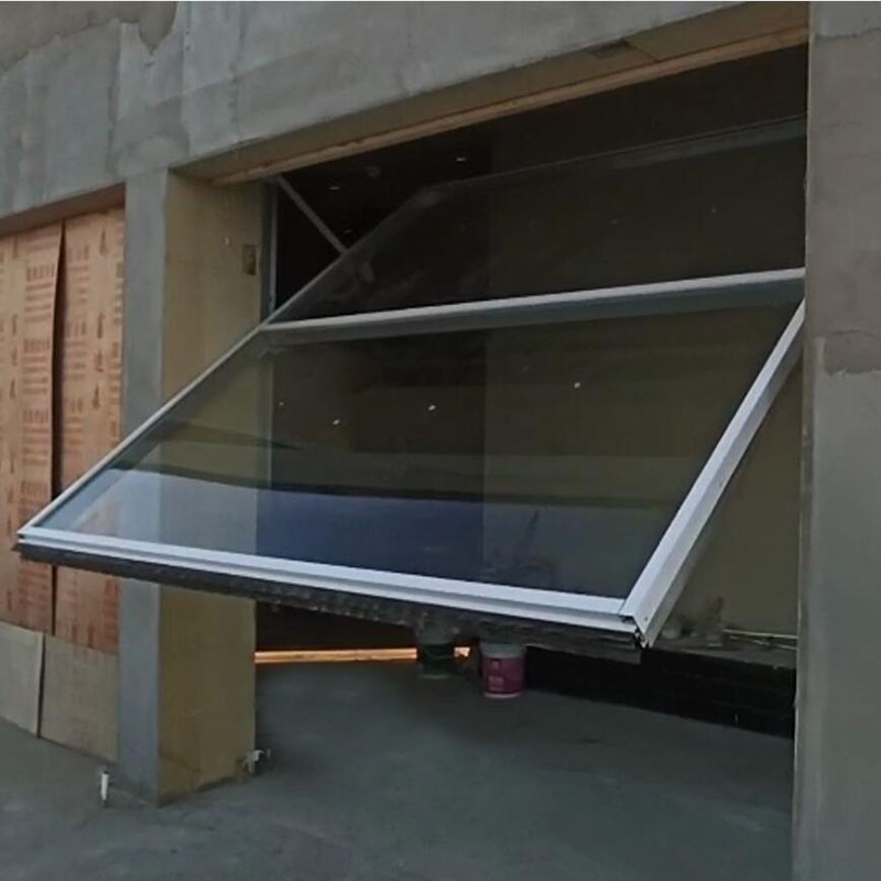 Full View One-Piece Canopy Garage Door for Modern Villa Facade